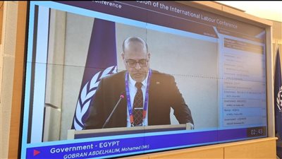 وزير العمل يُهنئ فلسطين باختيارها عضوًا مراقبًا في منظمة العمل الدولية