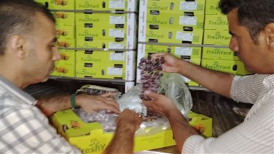 الحجر الزراعي يواصل المتابعة والفحص بالمنافذ لضمان الأمن الغذائي