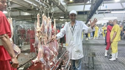 البعثة البيطرية المصرية للهدي والأضاحي تتلقى رسالة شكر من السلطات السعودية 