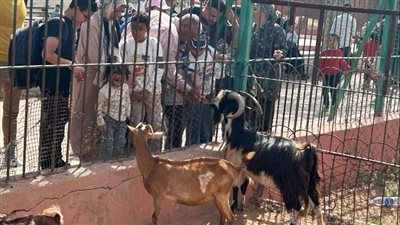 إقبال كبير على حديقة الحيوان بالإسكندرية  