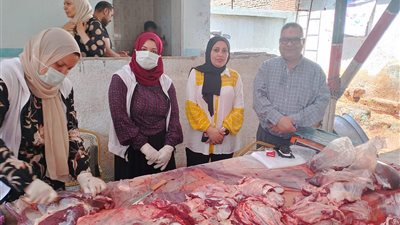  الدقهلية: تواصل أعمال الكشف وذبح الأضاحي بالمجازر 