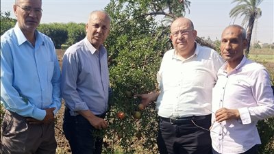 خلال إجازة عيد الأضحى.. مدير معهد البساتين يزور محطة بحوث شندويل