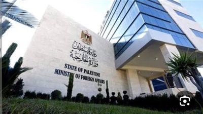 الخارجية الفلسطينية تثمن جهود المتضامنين الدوليين على سفينة كسر الحصار