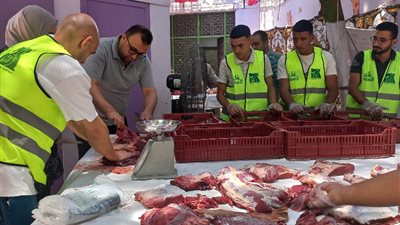  أسيوط: ذبح وتوزيع 230 رأس ماشية على الأسر الأولى بالرعاية