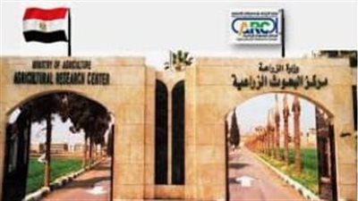 نشاط مكثف لرئيس البحوث الزراعية وقيادات المركز خلال إجازة عيد الأضحى