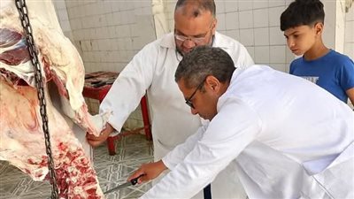 ذبح561 أضحية بمجازر الطب البيطري فى ثالث أيام عيد الأضحي 