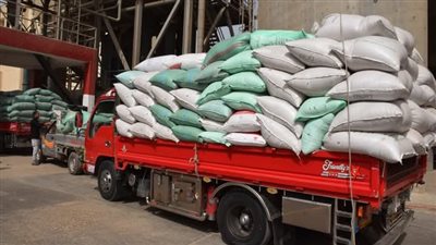 محافظ بني سويف: توريد 274 ألف طن من الأقماح المحلية بالصوامع والُشون 