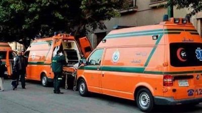 بسبب الأرض الزراعية.. عامل يصيب جاره بطلق ناري بالمنشأة