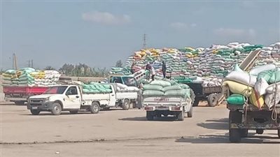 الأشمونى: إنتظام سير العمل بمنظومة توريد القمح لشون وصوامع الشرقية 