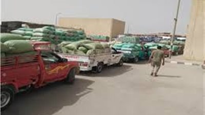 توريد 595 ألف طن قمح لصوامع الشرقية منذ بدء موسم الحصاد