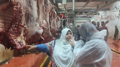 ذبح 577 رأس بلدى و6045 رأس مستورد خلال أيام عيد الأضحى بالبحر الأحمر