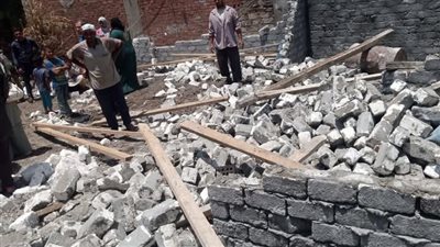 الشرقية تُزيل تعديات على الأراضي الزراعية بقرية أبو نجاح 