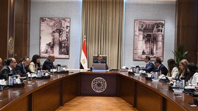 مدبولى يستعرض الفرص الاستثمارية في قطاع الكهرباء والطاقة خلال السنوات العشر القادمة