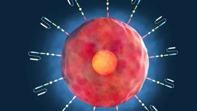 اكتشاف جزيء مُقاوم للموت قد يُبطئ تطور الشلل الرعاش