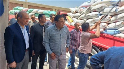 توريد 279 ألف طن من القمح بشون وصوامع الفيوم