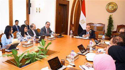 وزير الخارجية والهجرة يتابع جهود الوزارة في رعاية المواطنين المصريين بالخارج