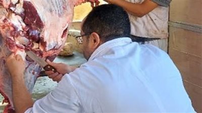 ذبح 3443 أضحية للمواطنين في مجازر الجيزة بعد الكشف البيطري عليها