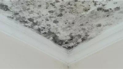 خبراء يوضحون تأثير العفن المنزلي على الصحة