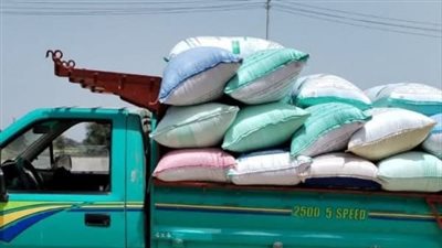 حصاد ذهبي في الشرقية.. صوامع وشون المحافظة تستقبل 159 ألف طن قمح 