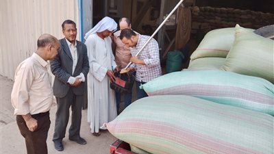 توريد 504 آلاف طن قمح لشون وصوامع المنيا 