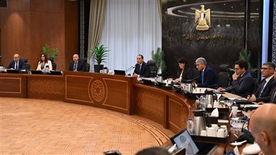 رئيس الوزراء يتابع اللمسات الأخيرة لافتتاح المتحف الكبير.. صور