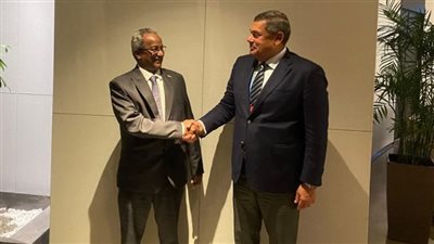 نائب وزير الخارجية يلتقي بوكيل وزارة الخارجية السودانية