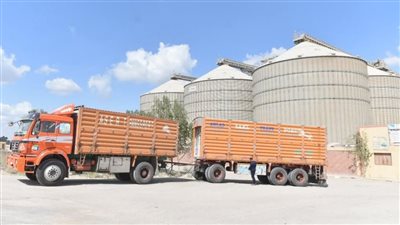 توريد أكثر من 279 ألف طن قمح بشون وصوامع الفيوم