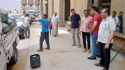 توريد 279895 طن من القمح بشون وصوامع الفيوم