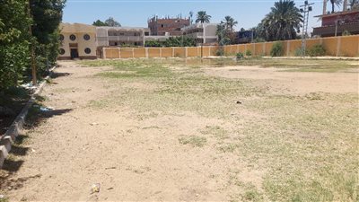 الإهمال يسيطر علي ملعب مركز شباب أولاد نجم المطور بقنا 