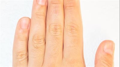 دراسة تكشف العلاقة بين طول أصابع اليد والسمات الشخصية 