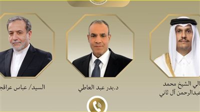 وزير الخارجية خلال اتصاله مع نظيره الإيراني: مصر ترفض التعدى على سيادة الدول