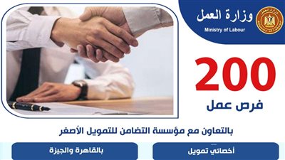 200 فرصة عمل لشباب القاهرة والجيزة.. رابط ومواعيد التقديم