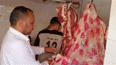 ضبط 4 طن سلع ومواد غذائية مجهولة بالمنيا 