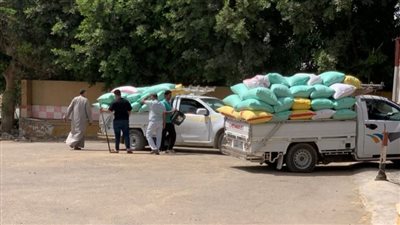 الشرقية تواصل موسم توريد القمح المحلي بإجمالي 596 ألف طن 