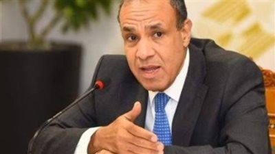  عبدالعاطي: حماية المصريين بالخارج أولوية قصوى ولن ندخر جهدًا في حمايتهم