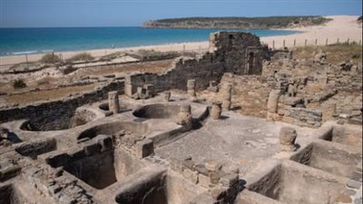 الوجبات سريعة على الطريقة الرومانية: اكتشاف حفريات لوجبات من الطيور 