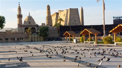 أبو الحجاج الاقصري.. شيخ الزمان وصاحب البركات وأبو المعارف المأثورة