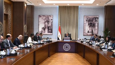 مدبولي يتابع تنفيذ برنامج الطروحات الحكومية في قطاعي البترول والأعمال العام