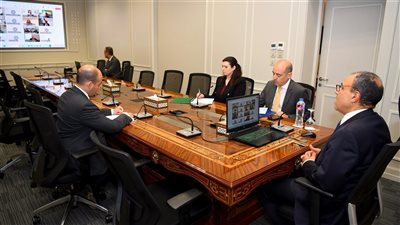وزير الخارجية والهجرة يشارك في اللقاء الافتراضى مع الجالية المصرية في المملكة المتحدة