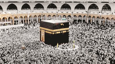 الشركات تناشد وزارة السياحة سرعة إصدار الضوابط للحاق ببدء الموسم