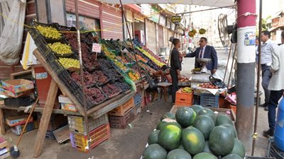 محافظ الدقهلية يوجه برفع كافة الإشغالات بشوارع نبروه