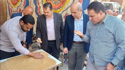 توريد 281891 طن من القمح بالشون والهناجر في الفيوم