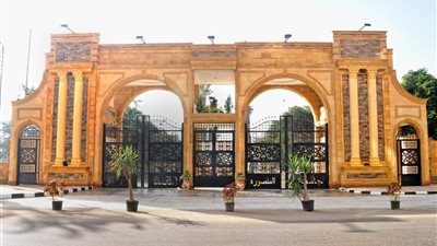 جامعة المنصورة تُحقِّق إنجازًا دوليًّا جديدًا في تصنيف 