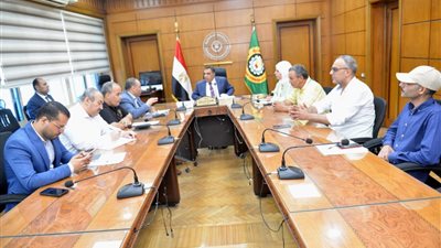 محافظ الدقهلية يترأس اللجنة المختصة بتعديل وتطبيق الحدود الإدارية مع المحافظات المجاورة