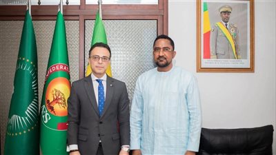 سفير مصر في مالي يلتقي وزير الماليين المُقيمين بالخارج والاندماج الأفريقي