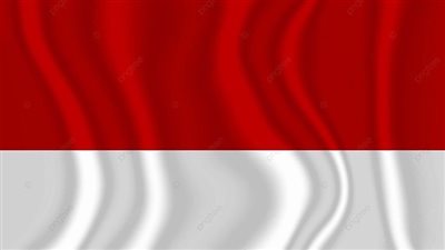 إندونيسيا تدين انتهاكات بيئية خطيرة في مجمع للنيكل بمنطقة مورووالي الصناعية