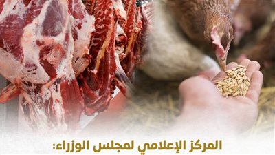 المركز الإعلامي للوزراء: خامات الأعلاف المستوردة والمحلية متوفرة.. وأسواق الدواجن واللحوم مستقرة