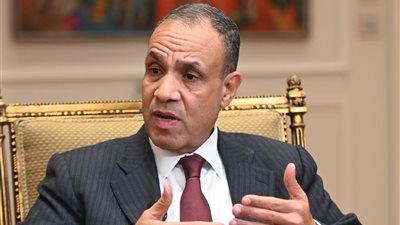  بدر عبدالعاطي: حريصون على رعاية المصريين بالخارج والاستعداد لانتخابات البرلمان ومؤتمر أغسطس المقبل