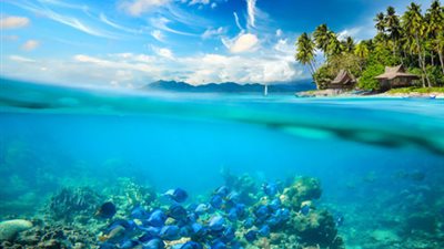 فيروسات عملاقة في المحيطات تثير حيرة العلماء.. ما سببها؟