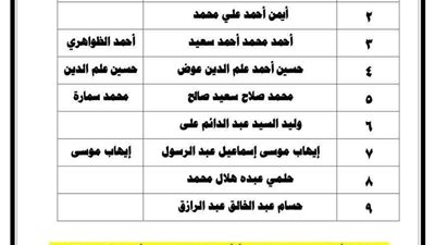 الاثنين المقبل.. انتخاب 3 مرشحين لصندوق التأمين الخاص بكهرباء القناة 